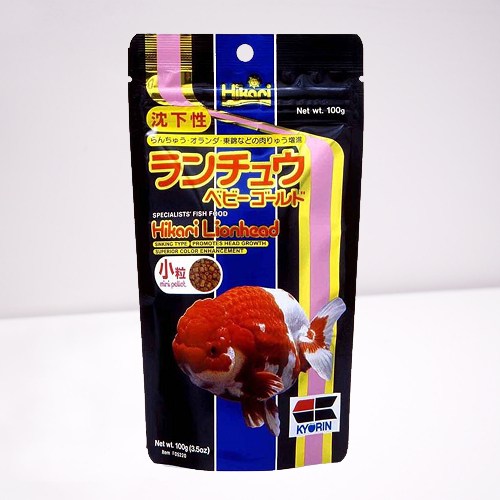 Hikari-Lionhead-Mini-100g-removebg-preview 100g Hikari Lionhead Mini