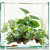 Aquarium Plant and Decoration Set with Sinking Wood set