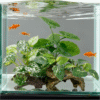 Aquarium Plant and Decoration Set with Sinking Wood set