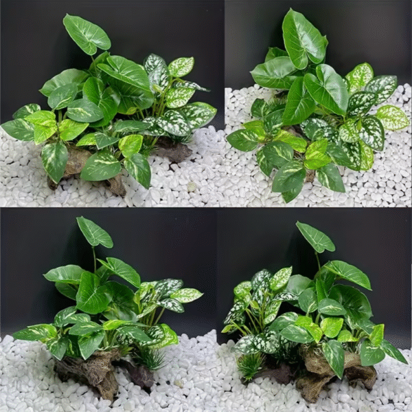 Aquarium Plant and Decoration Set with Sinking Wood set