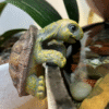 Screenshot 2025-11-30 at 17.33.34 Large Climbing Turtle Statue Aquarium Decor