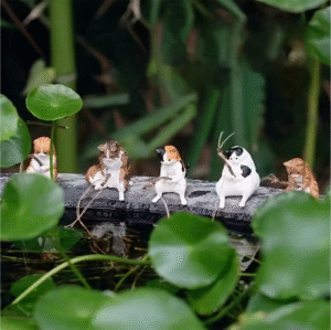 4 Piece Cat Fishing Figurines